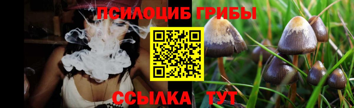 Галлюциногенные грибы Psilocybe Холмск